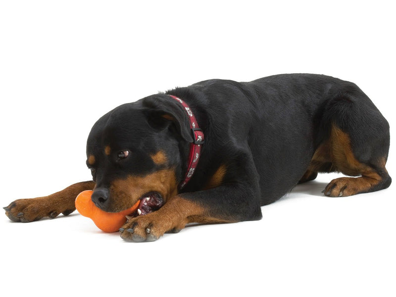 West Paw משחקים לכלב ווסט פאו - צעצוע האכלה לכלב טוקס