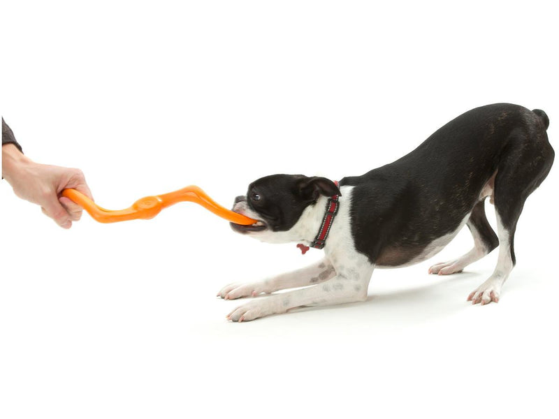West Paw משחקים לכלב ווסט פאו - צעצוע משיכה לכלב בומי