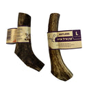 קרן אייל אדום שלמה לכלב 100% טבעית מידה L