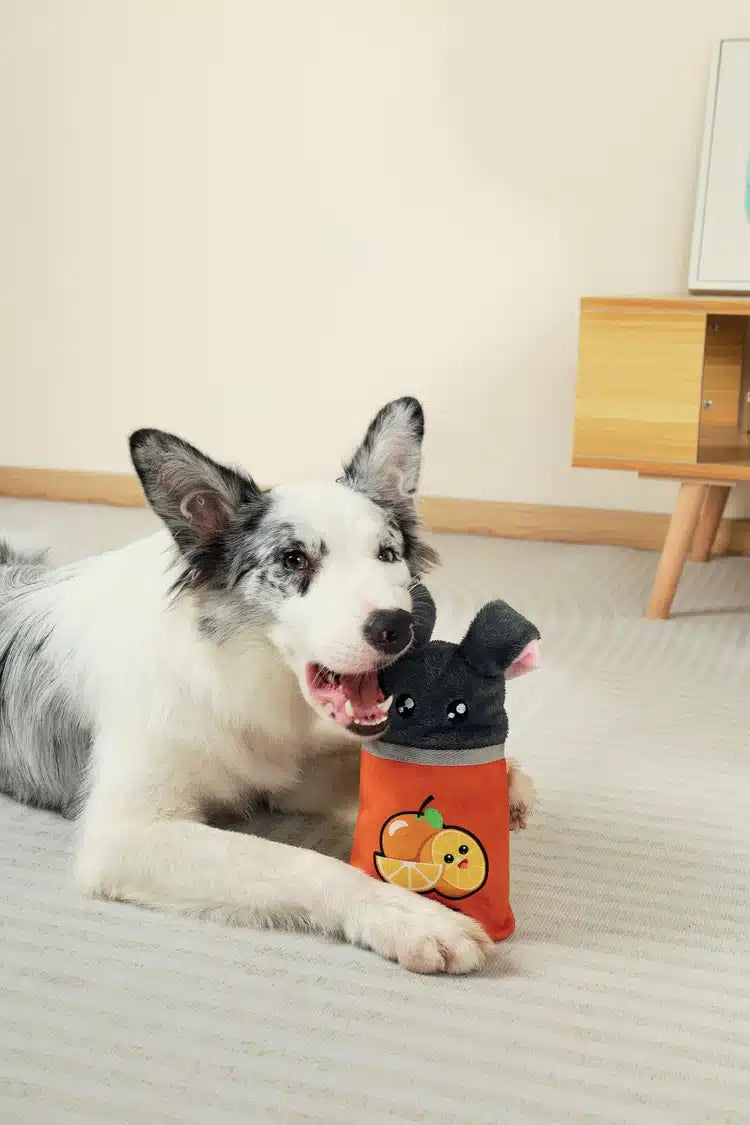 בובת ארנב תפוז עם פתח להחבאת חטיפים M-PETS