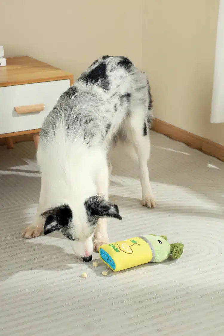 בובת ארנב לימון עם פתח להחבאת חטיפים M-PETS
