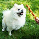 גרדן בייטס חטיף פירות דנטלי לכלב – מקלון מסולסל 120 גרם 3 יחידות XL