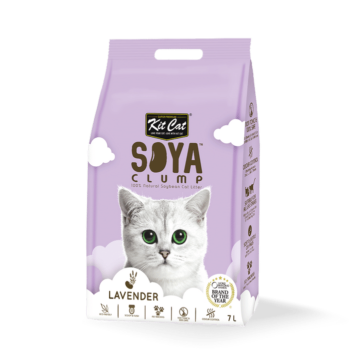kit cat קיט קט חול סויה לחתול מתגבש ונשטף באסלה- לוונדר 7 ליטר