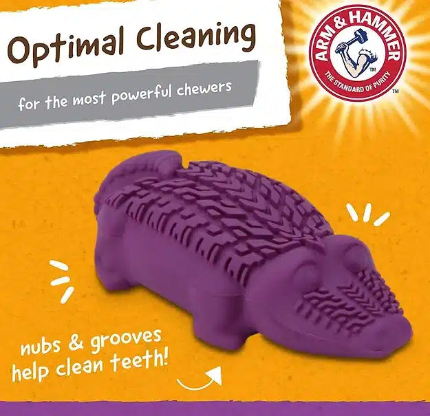 ARM & HAMMER מיני תנין צעצוע דנטלי לכלבים עד 25 ק"ג