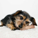 קונג עצם לעיסה עמידה בשילוב עץ KONG- M