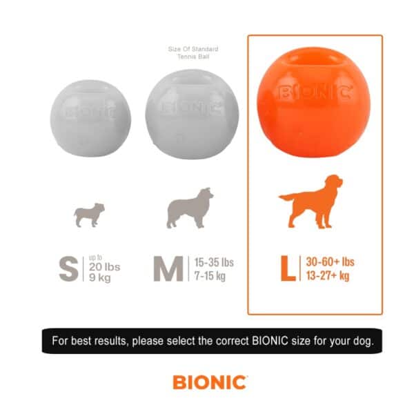 ביוניק ארה"ב כדור בלתי מנוצח לכלב – 3 מידות BIONIC