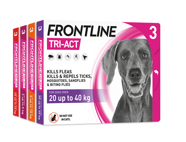 ®FRONTLINE TRI-ACT פרונטליין אמפולות לכלב 20-40 ק"ג
