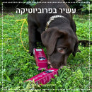 חטיף לכלב ולחתול קוביות יוגורט עם אוכמניות 100% טבעי 45 גרם BARK
