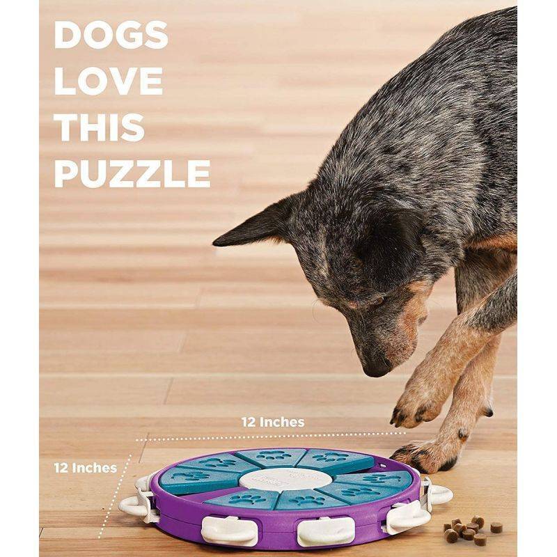 טוויסטר - משחק חשיבה לכלבים - רמה 3