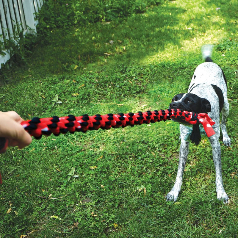 קונג סיגנצ'ור - חבל משחק חזק במיוחד עם קשר כפול לכלב