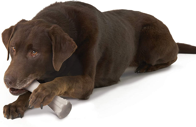 Other משחקים לכלב דיר הורן - צעצוע דנטלי עשוי קרן צבי אמיתית לכלב