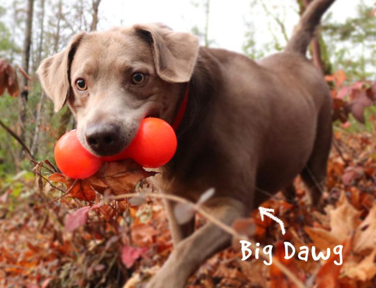Ruff Dawg משחקים לכלב ראף דוג - צעצוע גומי - משקולת לכלבים