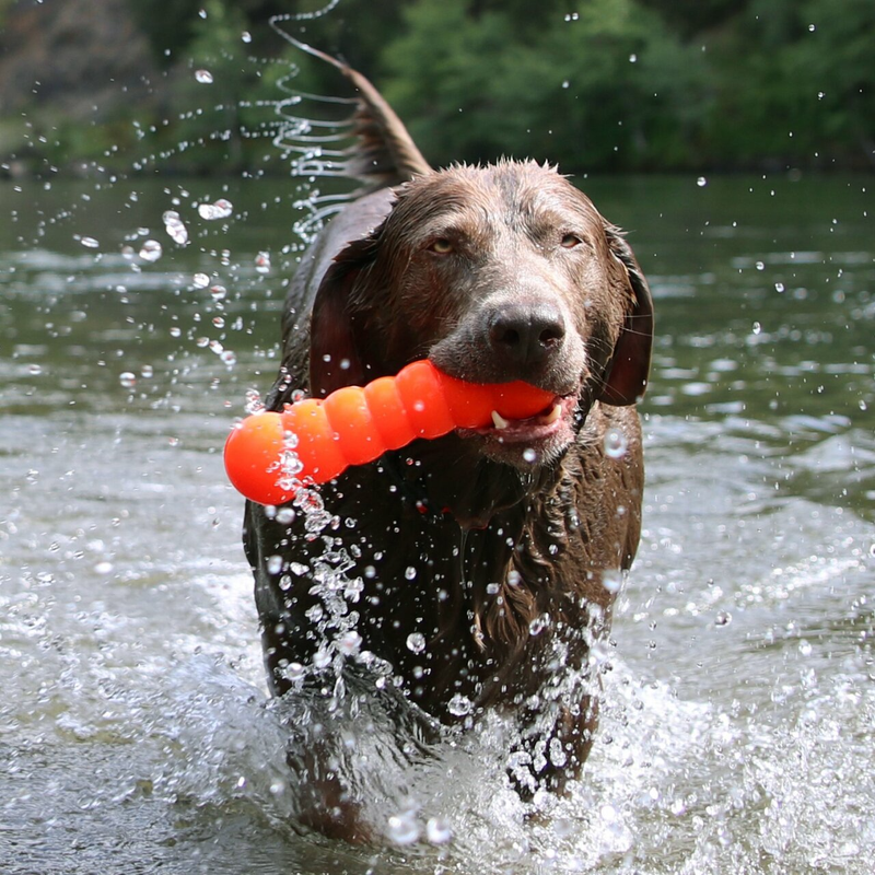 Ruff Dawg משחקים לכלב ראף דוג - צעצוע גומי - באסטר לכלבים