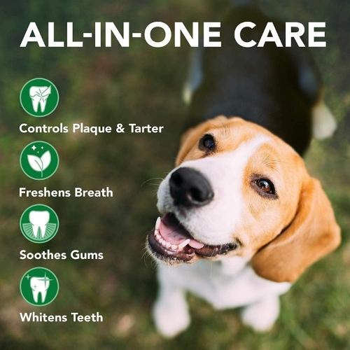 Vet's Best טיפוח לכלב מברשת שיניים וט בסט - מברשת שיניים איכותית לכלב ולחתול