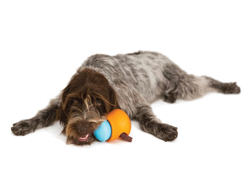West Paw משחקים לכלב ווסט פאו -צעצוע מילוי לכלב מסוג טופל