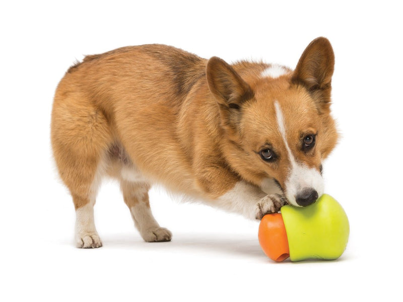 West Paw משחקים לכלב ווסט פאו -צעצוע מילוי לכלב מסוג טופל